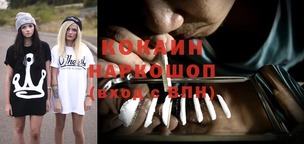 шишки Алзамай