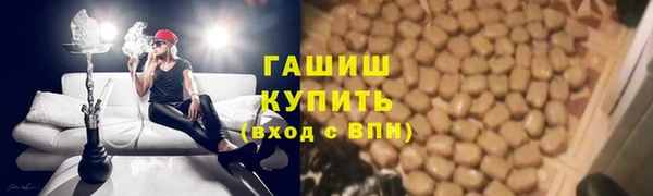 шишки Алзамай