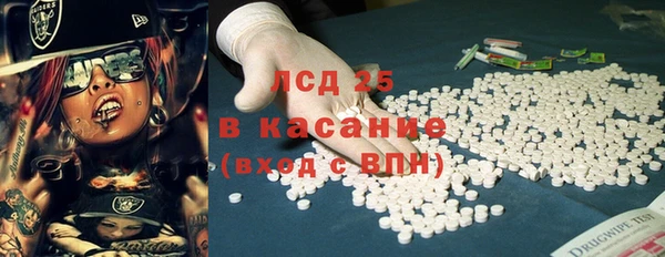 шишки Алзамай
