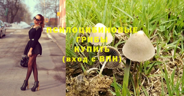 шишки Алзамай