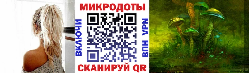 купить  цена  Апшеронск  Псилоцибиновые грибы Psilocybe 